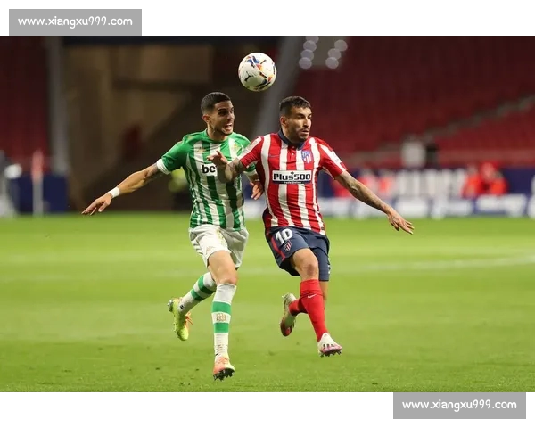 全面解析各类体育赛事数据助力精准比赛预测与决策