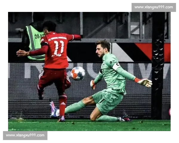 全面掌握德甲赛程查询技巧与最新比赛时间安排指南